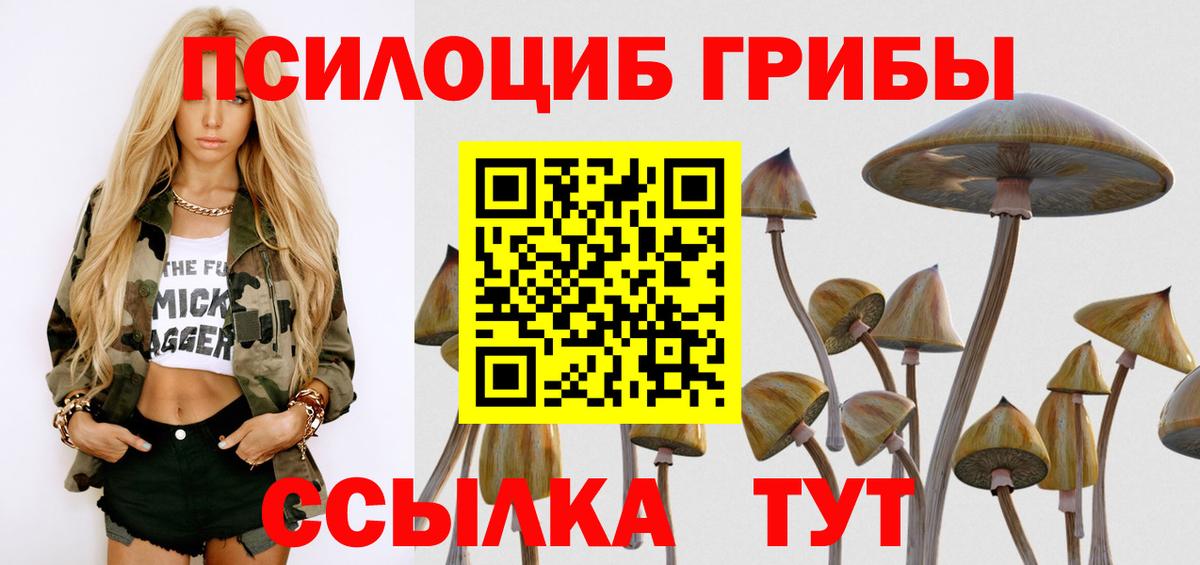 Галлюциногенные грибы MAGIC MUSHROOMS Мценск