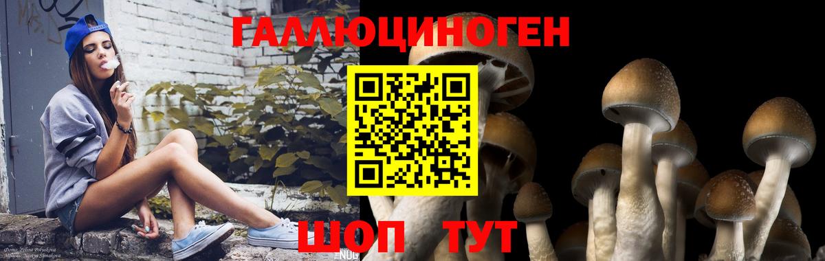 купить наркоту  Галлюциногенные грибы мицелий  Мценск  Вход с VPN  Галлюциногенные грибы мицелий 